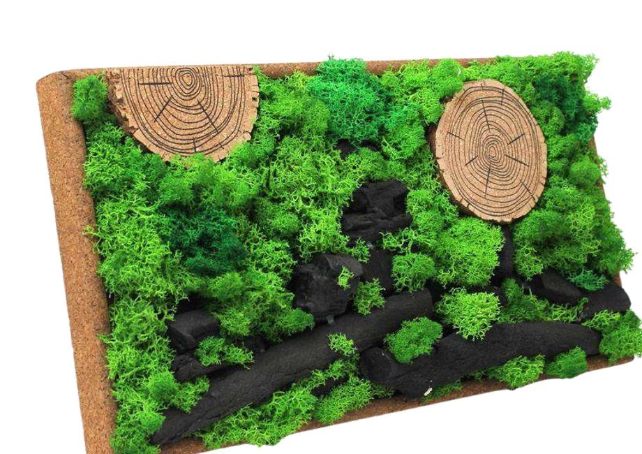 Eco-friendly preserved moss wall art gift